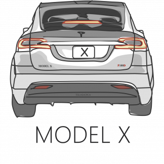 Model X