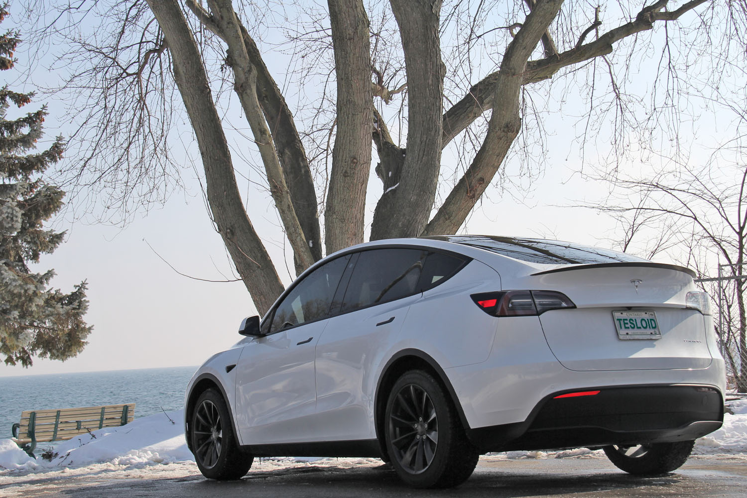 Model Y Performance Spoiler - Tesloid Canada