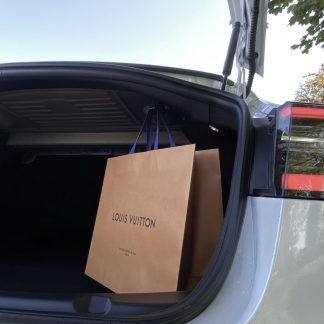 Model 3 Trunk Shopping Bag Hook