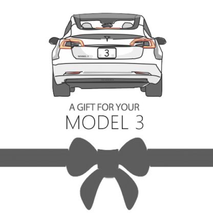 Model 3 Gift Card