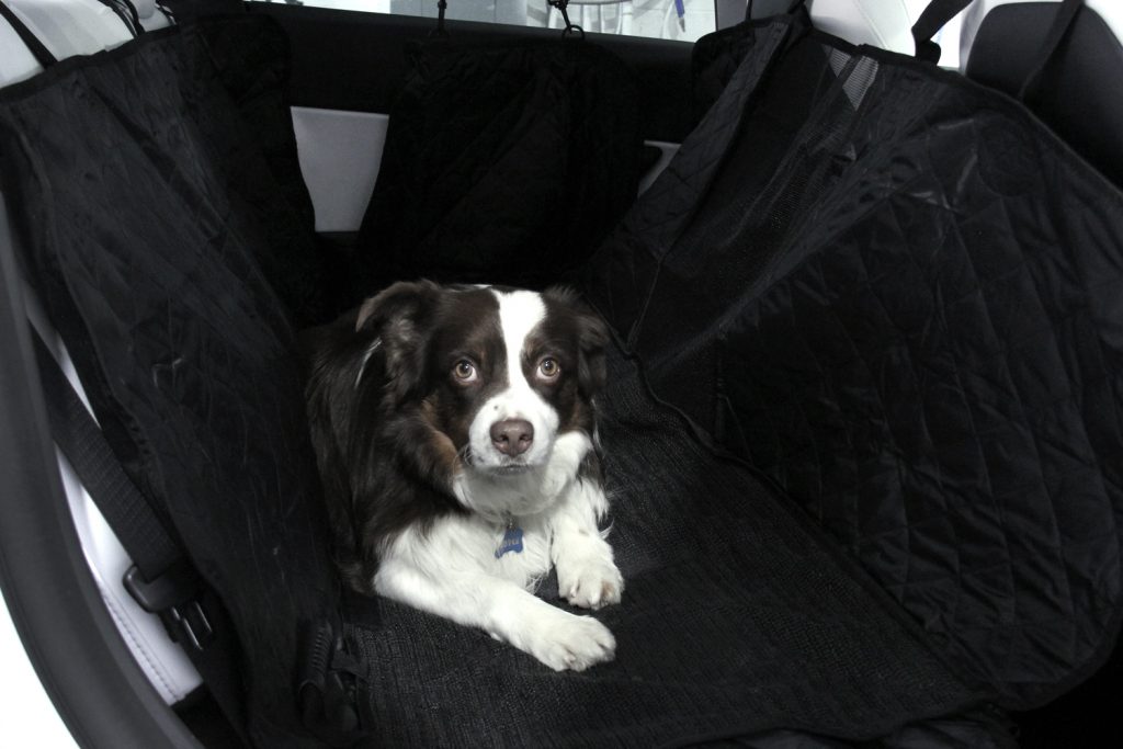Dog on a Tesloid Pet Cover in the Backseat of a Tesla Model Y