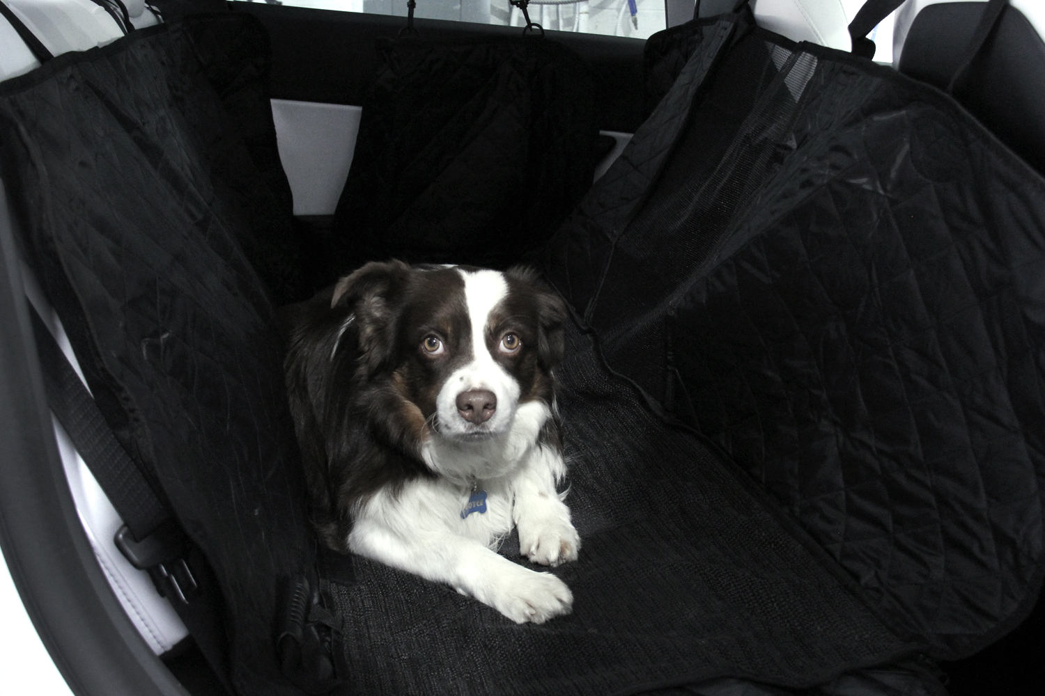 Model Y Pet Cover - Back Seat - Tesloid Canada