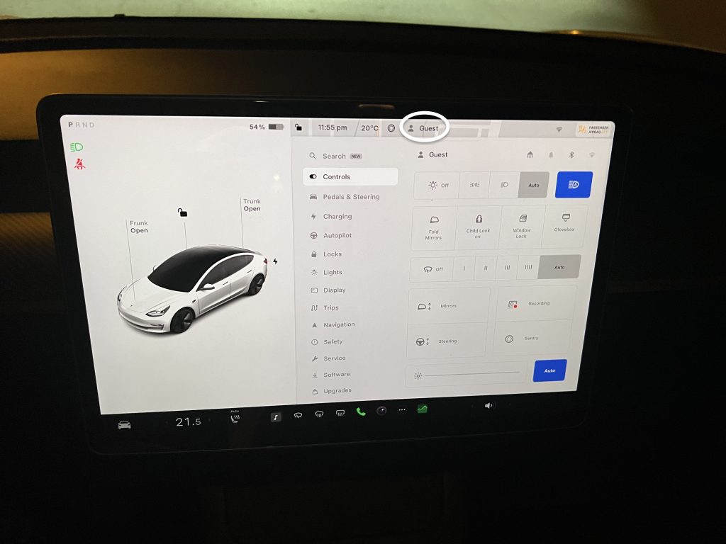 Driver icon inside a Tesla on the touchscreen