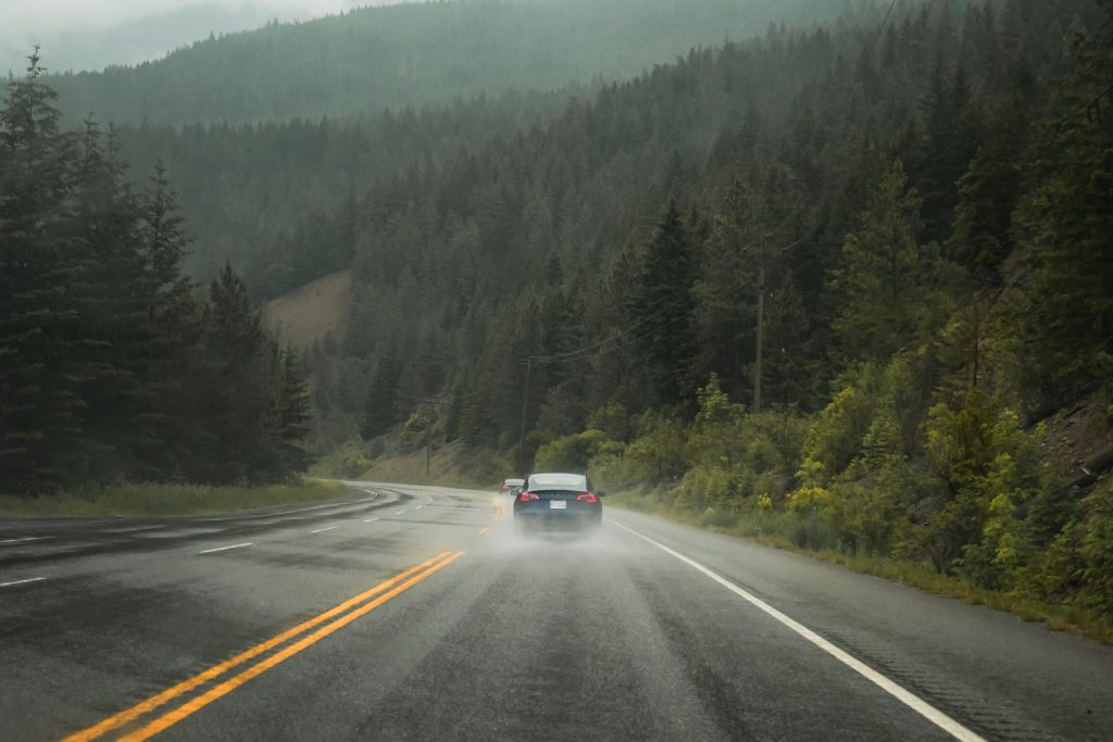 Tesla Model 3 Driving Through a Lush Green Forest