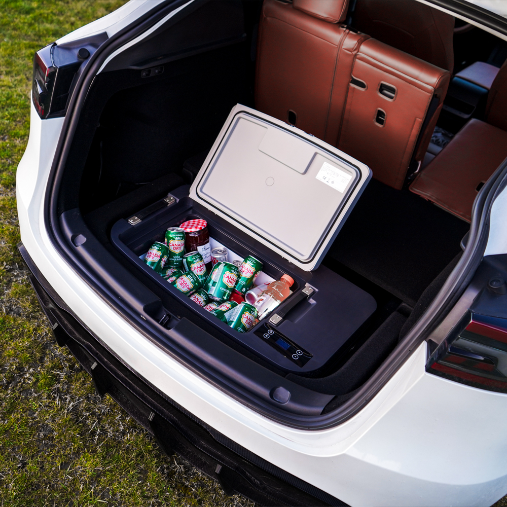 Model Y Frunk Food fridge for road trips