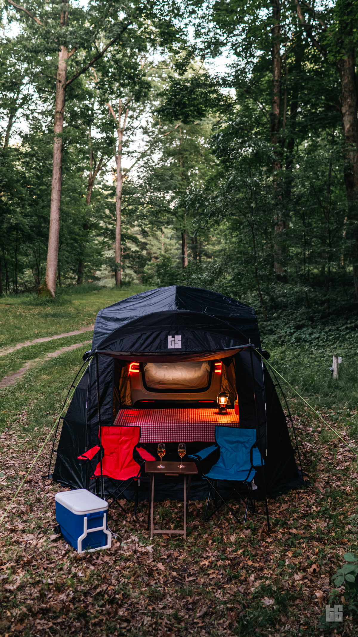 Model Y camping tent forest