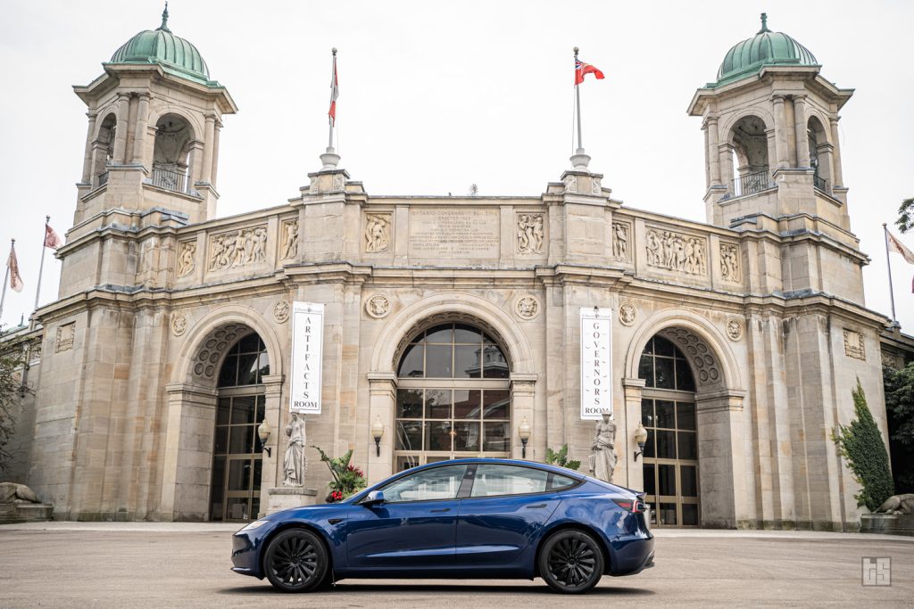 Tesla Model 3 Highland Wheel Cover - Viking