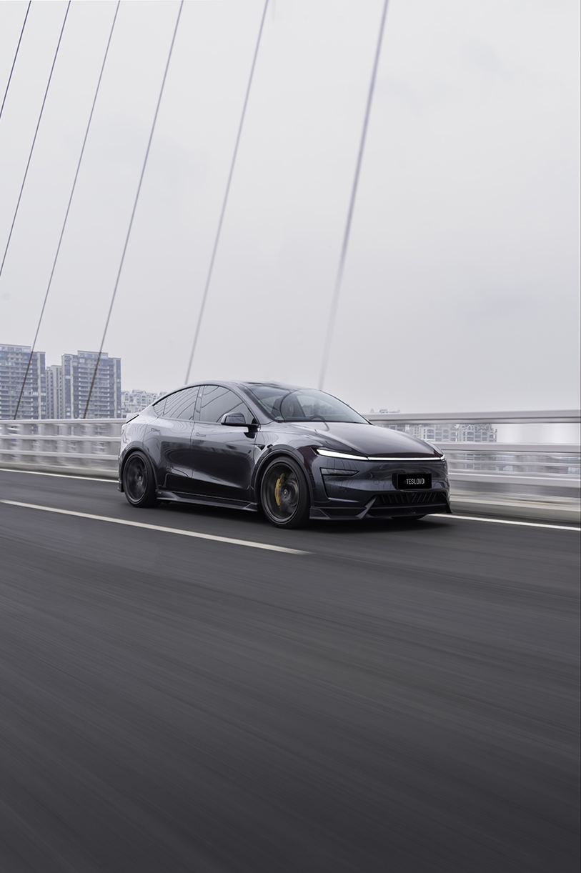 Model Y full body kit adventure