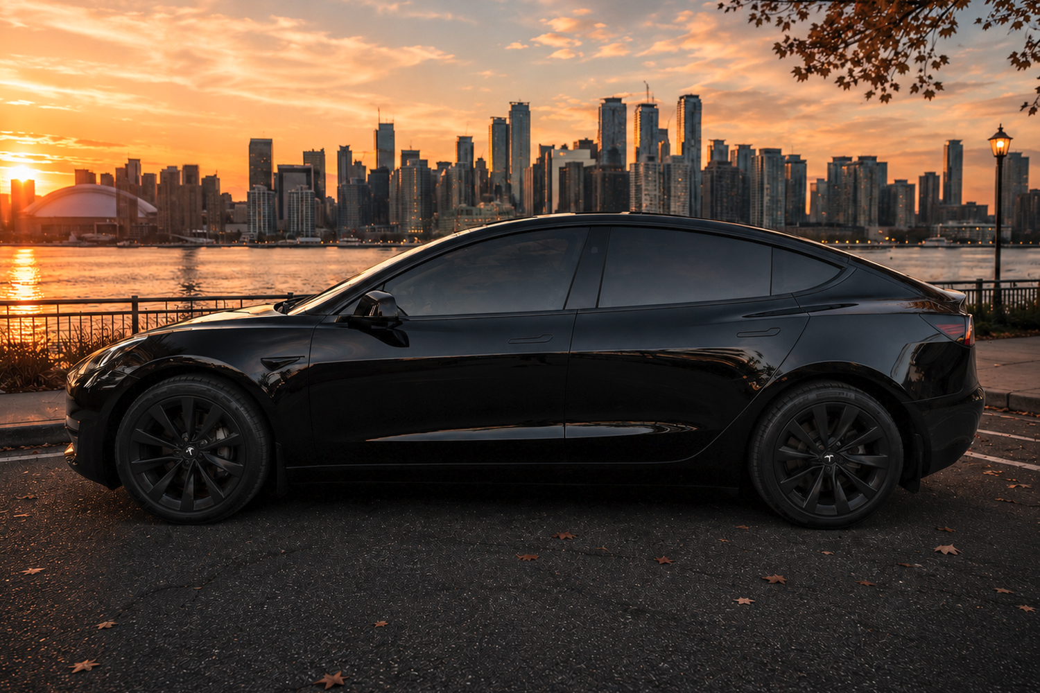 Model 3 19 Inch Sport Rims - Black