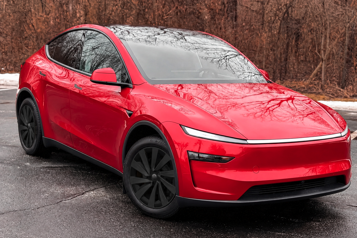 Tesla Model Y Juniper Wheel Cover - Touring Black